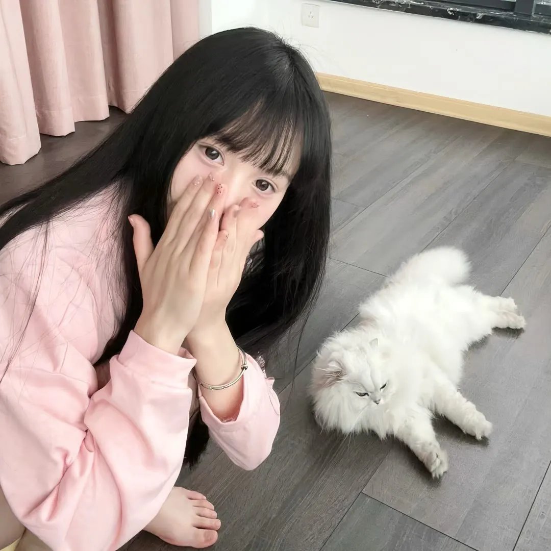 美食总动员